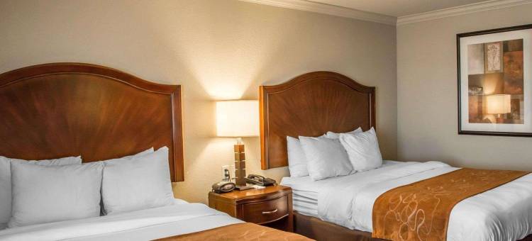 希尔顿辛辛那提北部spark酒店(Spark by Hilton Cincinnati Fairfield)图片