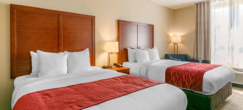 纳什维尔富兰克林冷泉舒适套房酒店(Comfort Inn & Suites Nashville Franklin Cool Springs)图片