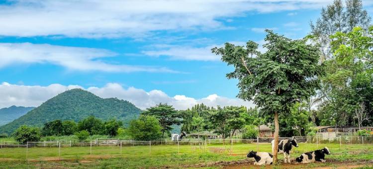 洲际考艾度假村(InterContinental Khao Yai Resort)图片
