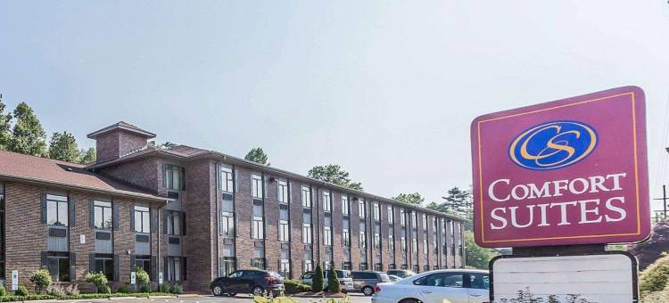 布恩大学区舒适套房酒店(Comfort Suites Boone - University Area)图片