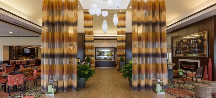 客栈水牛城机场希尔顿花园酒店(Hilton Garden Inn Buffalo Airport)图片