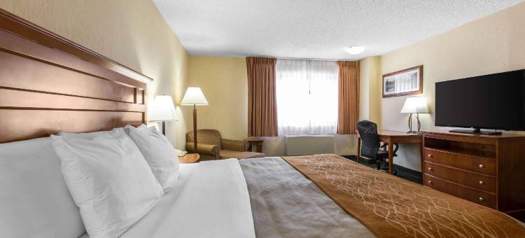 舒适酒店靠近韦尔比弗河(Comfort Inn Near Vail Beaver Creek)图片