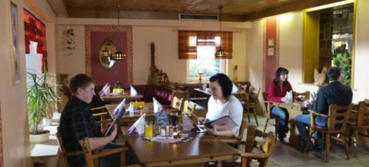 Landhotel Henkenhof Willingen图片