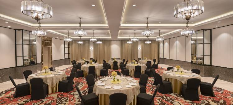 加尔各答新镇柠檬树高级酒店(Lemon Tree Premier, New Town, Kolkata)图片
