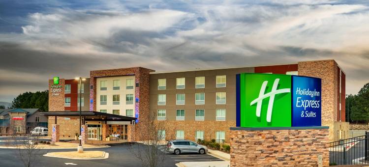 Holiday Inn Express & Suites Dawsonville图片