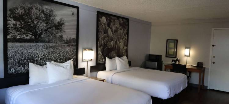 Super 8 by Wyndham Austin South / I-35图片