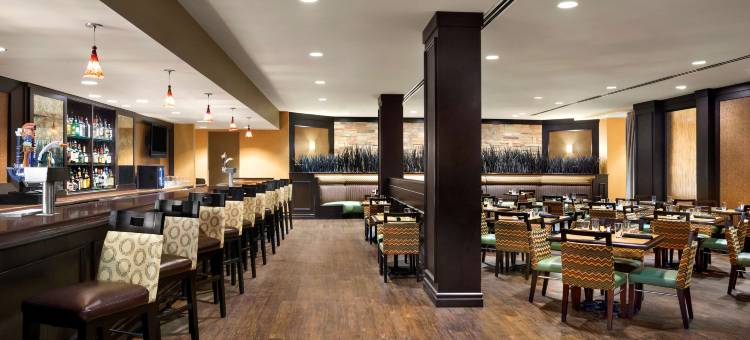 达拉斯DFW北机场希尔顿逸林酒店(DoubleTree by Hilton Dallas - DFW Airport North)图片