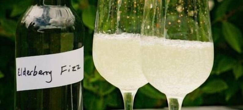 派罗亚家庭旅馆(Paeroa Bed and Breakfast)图片