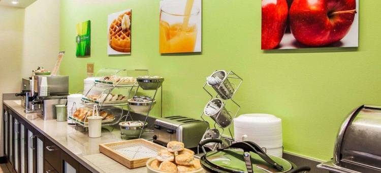 凯艺套房酒店(Quality Inn & Suites)图片