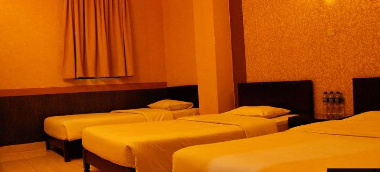 马利欧泊罗宫酒店(Malioboro Palace Hotel)图片
