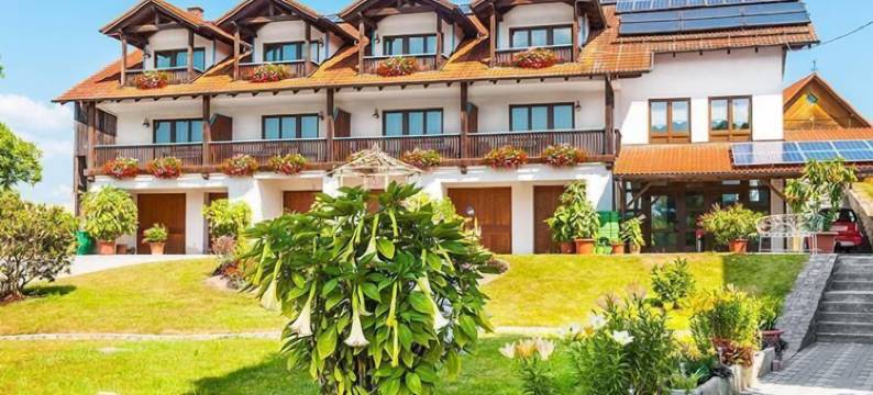 麦普赫尔兰德酒店(Landhotel Mappacher Hof)图片