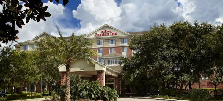 东坦帕/布兰登希尔顿花园酒店(Hilton Garden Inn Tampa-East/Brandon)图片