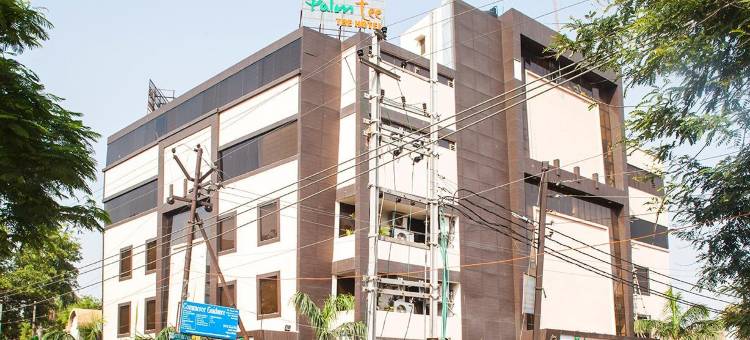 棕榈树酒店(Palm Tree Hotel & Restaurant)图片