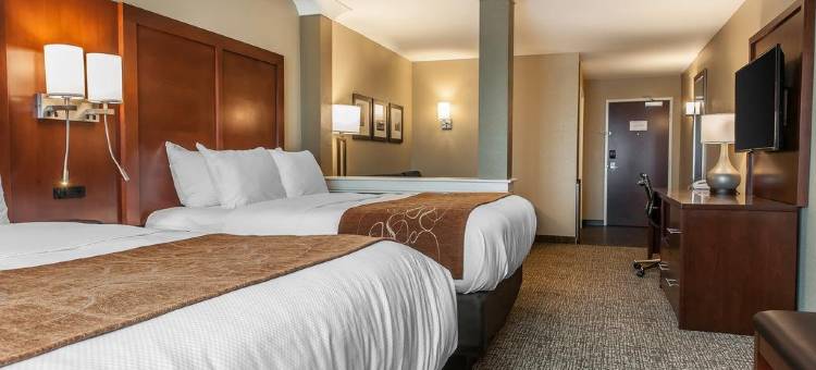 伦斯勒舒适套房酒店 - 近费尔奥克斯(Comfort Suites Rensselaer near Fair Oaks)图片