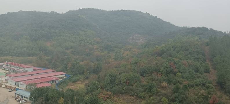 洋湖明园十栋公寓(坪塘路1号分店)图片