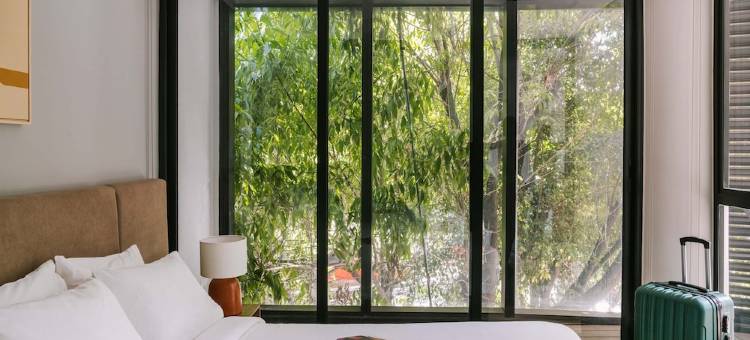 Sonder Cóporo图片