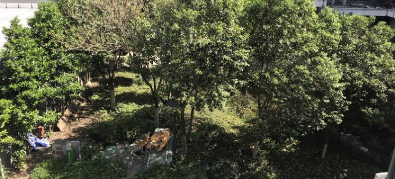 宜居小住公寓(渔港路分店)图片