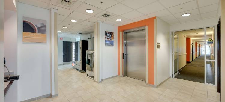 多伦多布兰普顿6号汽车酒店(Motel 6 Brampton, on - Toronto)图片