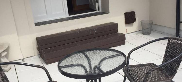 8只猫头鹰民宿(8 Owls B&B)图片