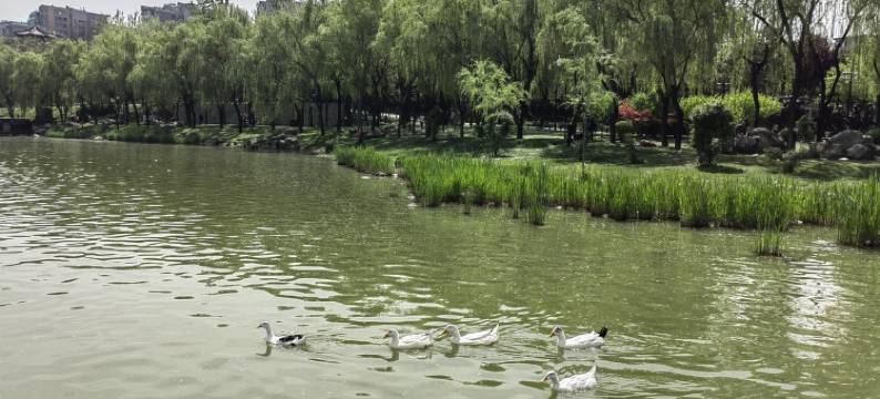 娜嘉民宿(开元路分店)图片