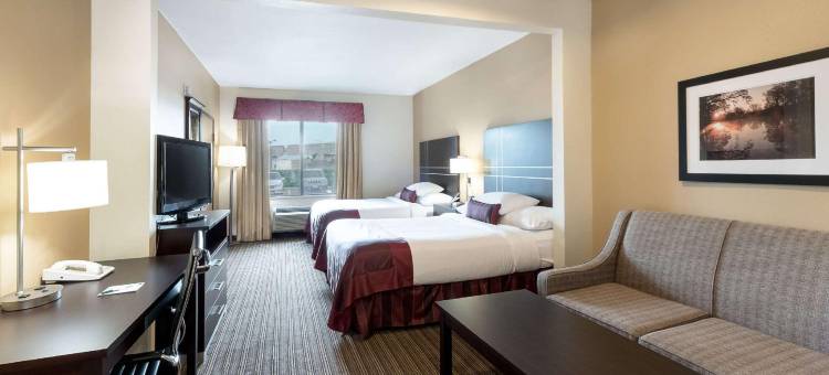 Wingate by Wyndham Houston / Willowbrook图片