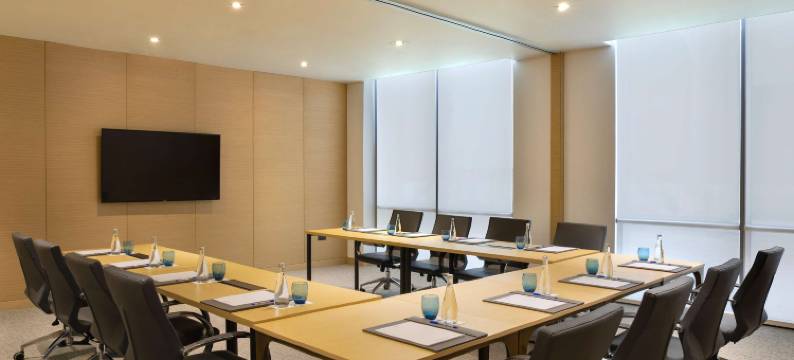 阿凡尼伊本巴图塔酒店(Avani Ibn Battuta Dubai Hotel)图片