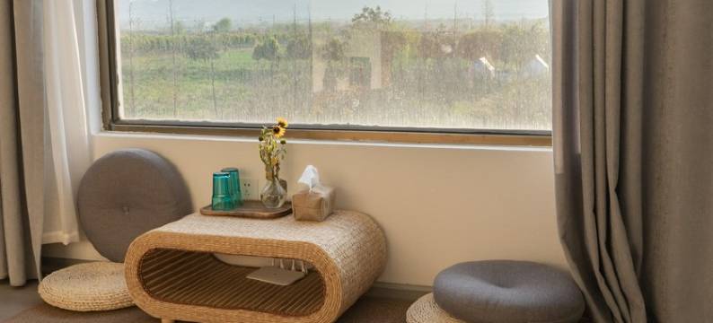 大理才村望野女性民宿(环海西路分店)图片