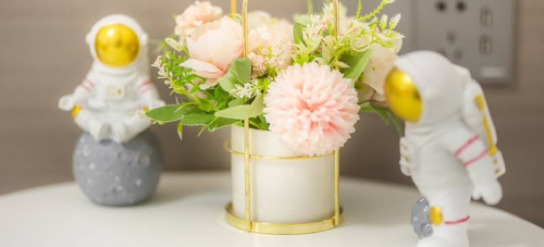 房东段小维公寓(城西路分店)图片