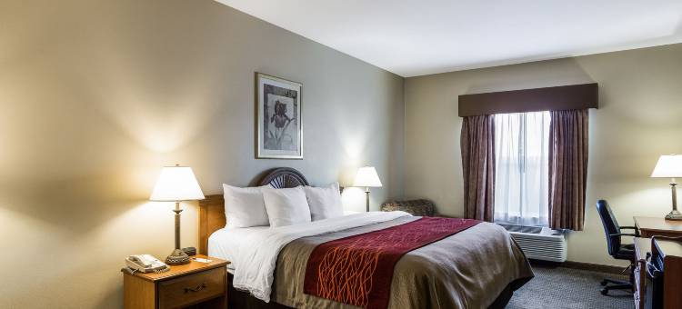 凯艺套房酒店(Quality Inn & Suites Houma)图片