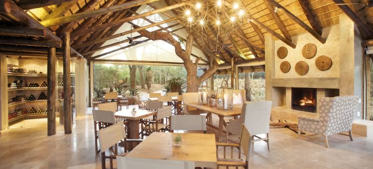 卡帕玛南营山林小屋(Kapama Southern Camp)图片