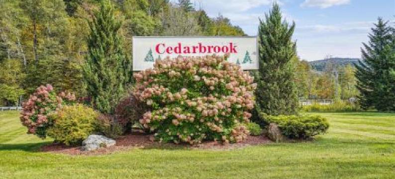 锡达布鲁克配有室外恒温泳池的两张双人床酒店客房216(Cedarbrook Two Double Bed Hotel Room with Outdoor Heated Pool 216)图片