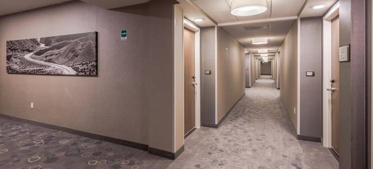 奇瓦瓦万怡酒店(Courtyard Chihuahua)图片