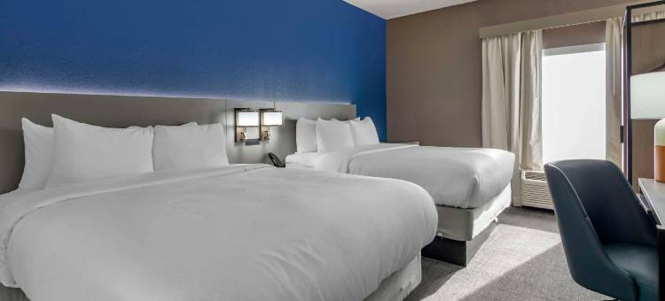 舒适酒店(Comfort Inn)图片