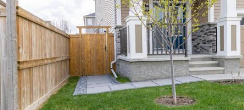 The Jade Place图片