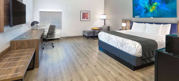 達拉斯费尔帕克温德姆拉昆塔套房酒店(La Quinta Inn & Suites by Wyndham Dallas/Fairpark)图片