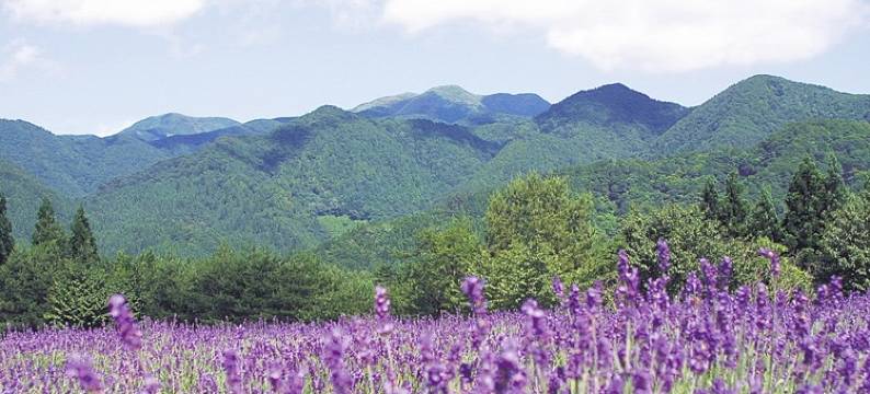 千畑温泉 Sun R(Sun R)图片