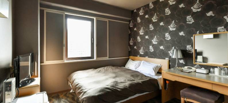 冈崎第一酒店(Okazaki Daiichi Hotel)图片