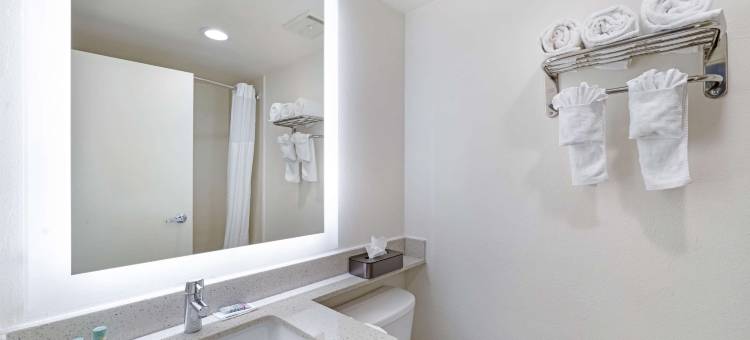 皇家贝斯特韦斯特套房酒店(Best Western Posada Royale Hotel & Suites)图片