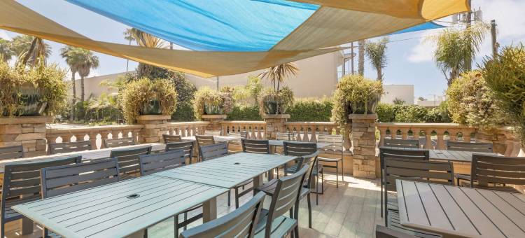 欧申赛德棕榈贝斯特韦斯特优质酒店(Best Western Plus Oceanside Palms)图片