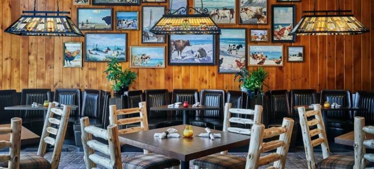 爱荷华市希尔顿研究生酒店(Graduate by Hilton Iowa City)图片