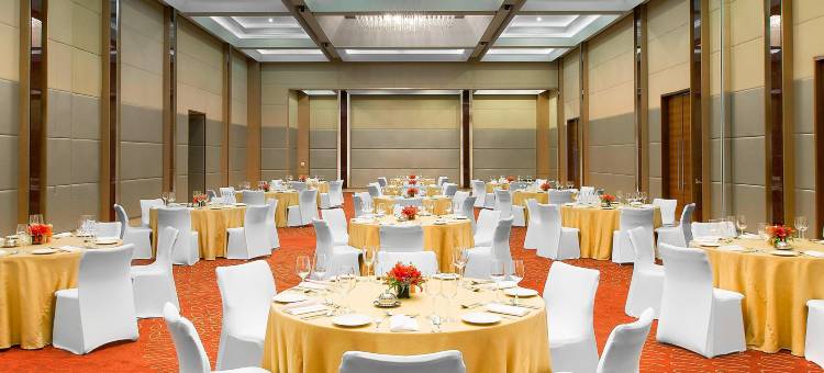 海得拉巴喜来登酒店(Sheraton Hyderabad Hotel)图片