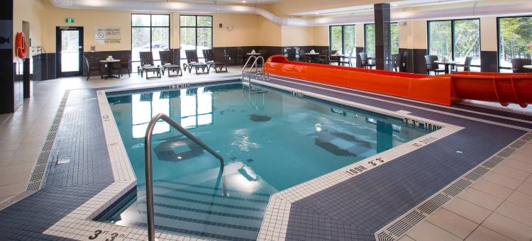 弗雷德瑞克登城堡酒店，温德姆Trademark精选(Chateau Fredericton, Trademark Collection by Wyndham)图片