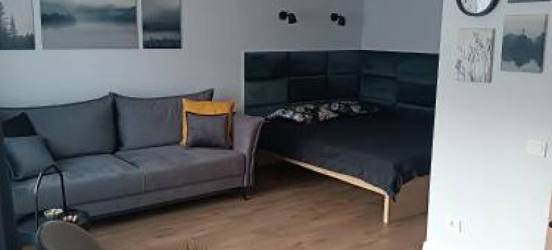 Alyvų Tako Studija图片