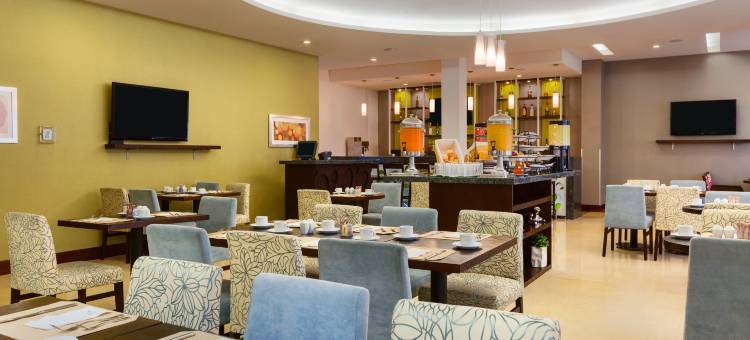 奎雷塔罗希尔顿花园酒店(Hilton Garden Inn Queretaro)图片