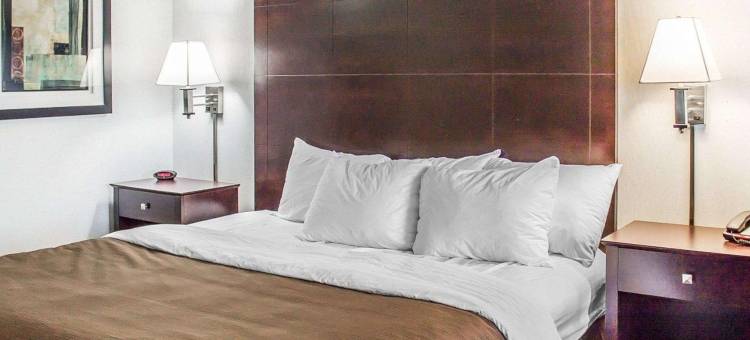 凯艺套房酒店(Quality Inn & Suites)图片