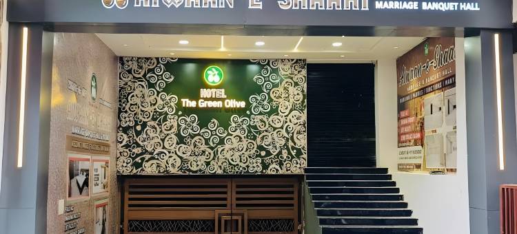 Treebo 绿橄榄(Treebo Green Olive)图片