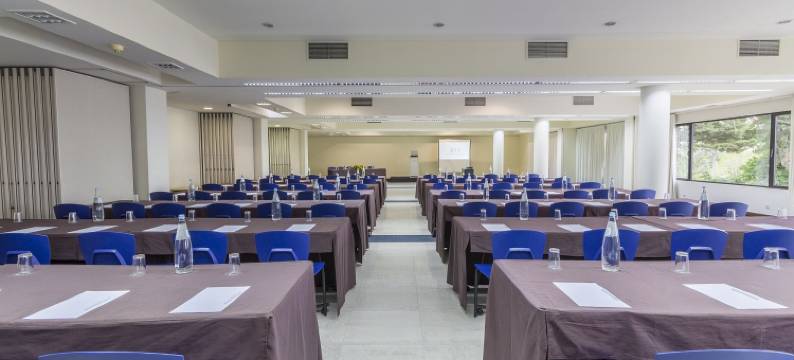 欧罗索尔莱利亚和花园酒店(Hotel Eurosol Leiria & Jardim)图片