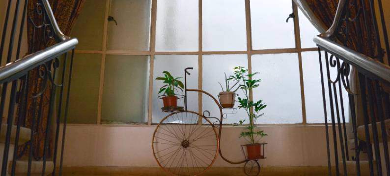 BBCasita-床和早餐-旅舍(Bbcasita- Bed and Breakfast-Hostel)图片