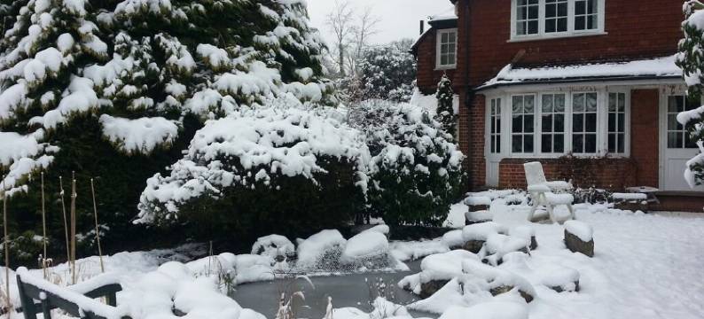 罗斯米德旅馆(Rosemead Guest House)图片