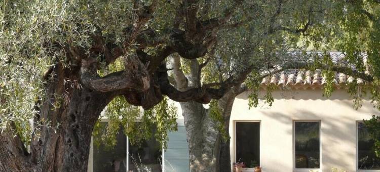 巴斯蒂德圣特琳迪(Bastide Sainte Trinide)图片